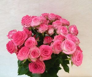 ROSE BR. VICTORIAN CLASSIC 40